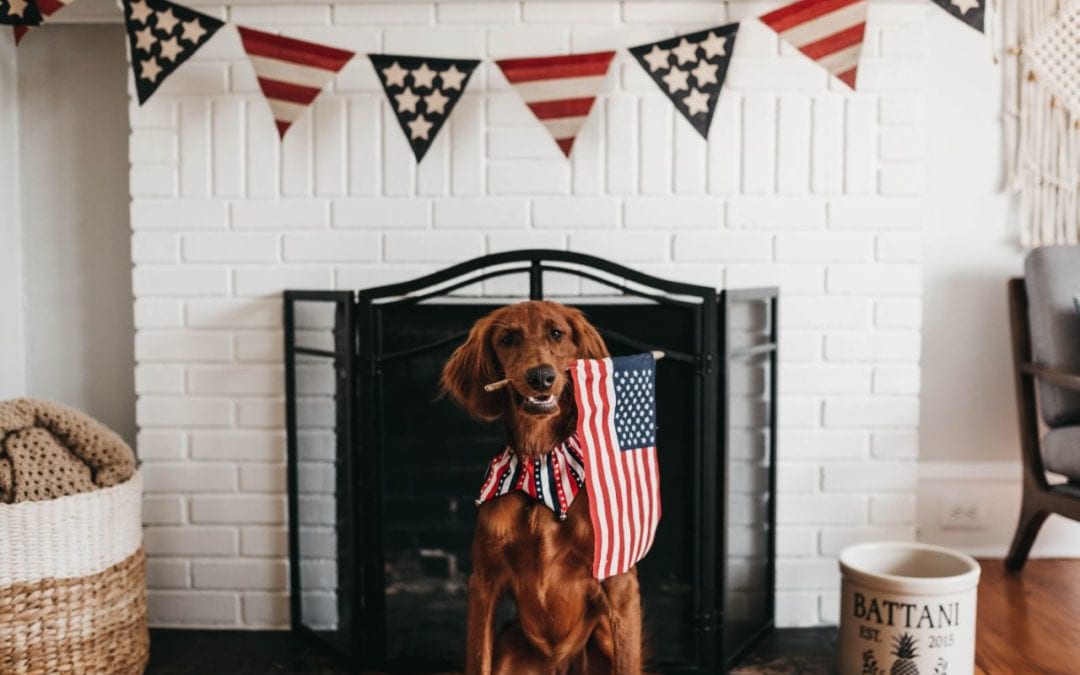 How to Keep Your Pet Calm on the Fourth of July